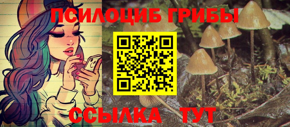 Псилоцибиновые грибы прущие грибы Камышин