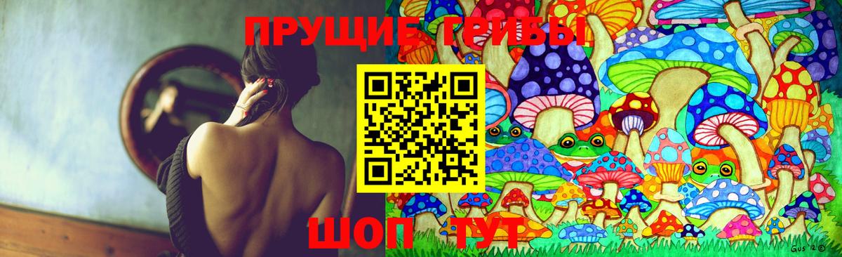 Камышин  Галлюциногенные грибы Magic Shrooms  Вход с VPN 
